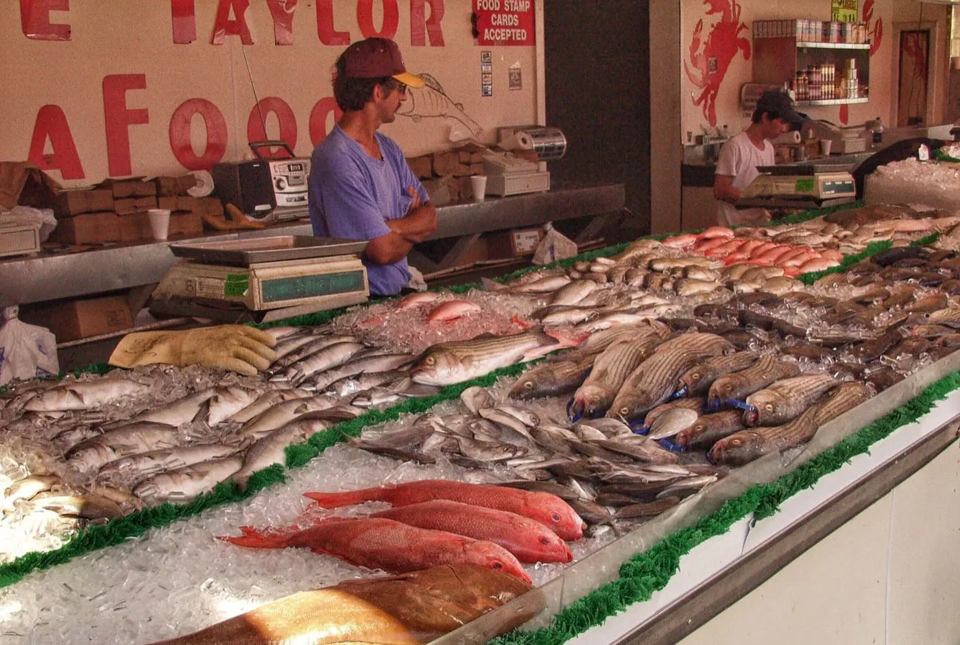 Il pesce fresco sul ghiaccio
